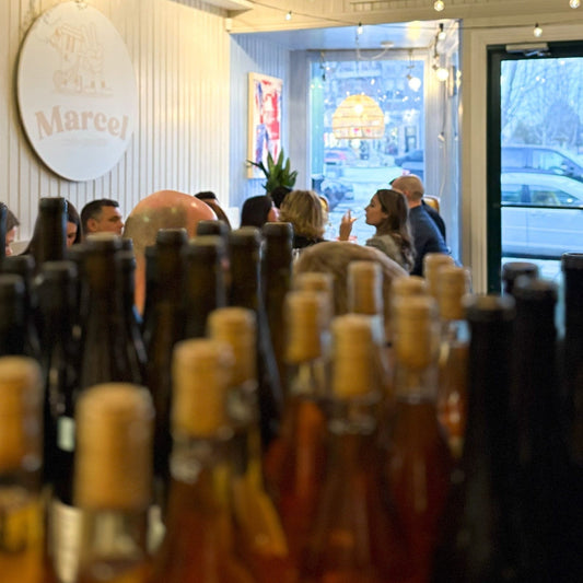 Dégustation de vin chez Marcel Café Caviste
